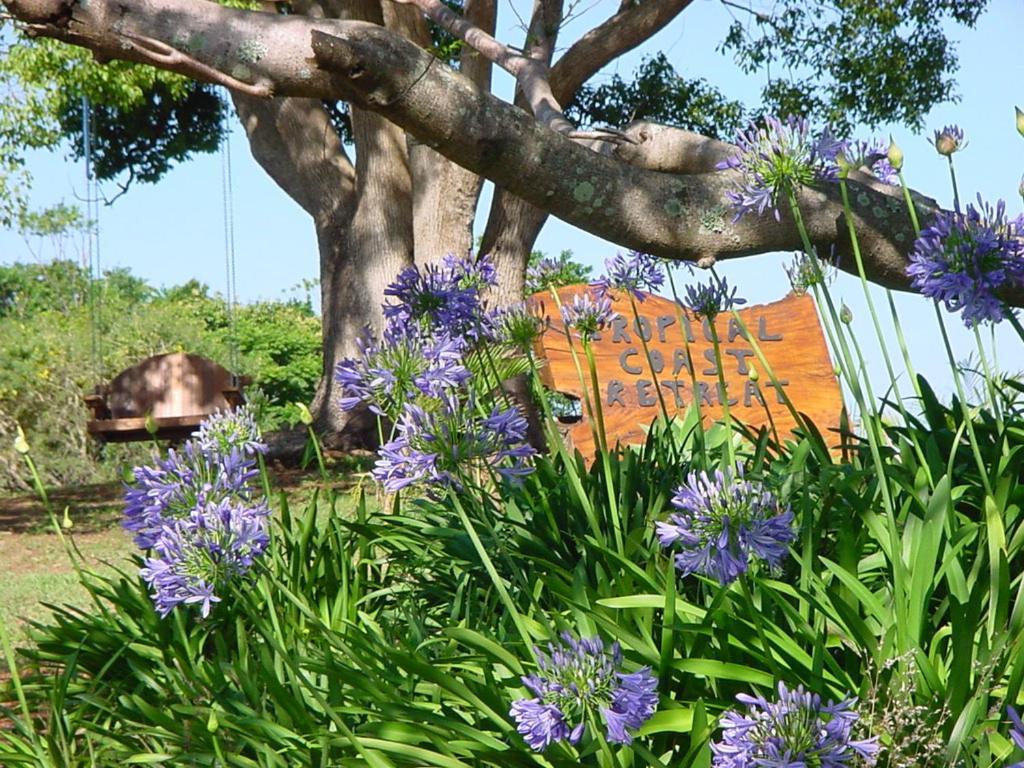 Tropical Coast Retreat - Pet Friendly - Adult Only Pensionat Kingscliff Exteriör bild
