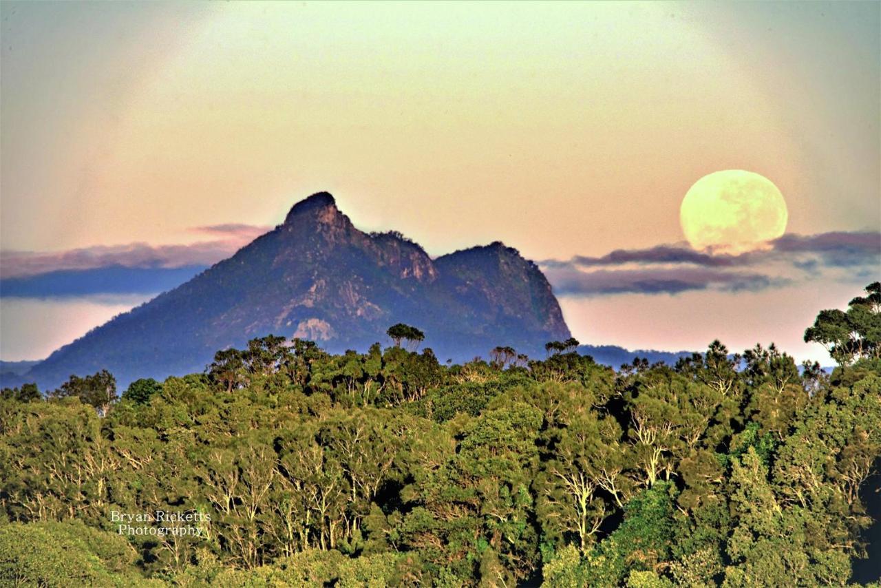 Tropical Coast Retreat - Pet Friendly - Adult Only Pensionat Kingscliff Exteriör bild