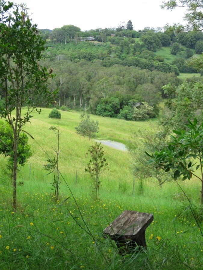 Tropical Coast Retreat - Pet Friendly - Adult Only Pensionat Kingscliff Exteriör bild