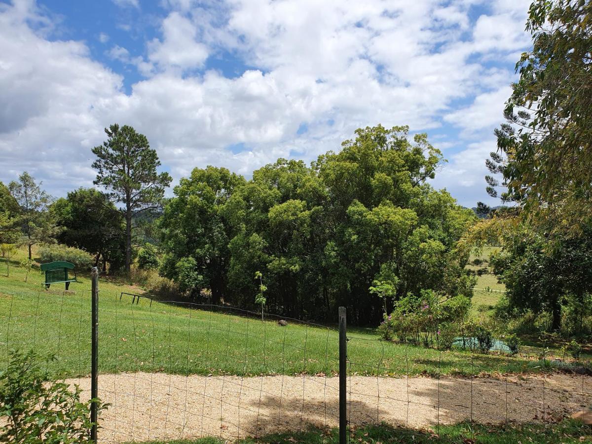 Tropical Coast Retreat - Pet Friendly - Adult Only Pensionat Kingscliff Exteriör bild
