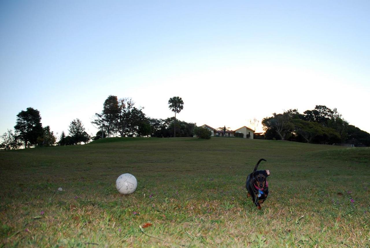 Tropical Coast Retreat - Pet Friendly - Adult Only Pensionat Kingscliff Exteriör bild