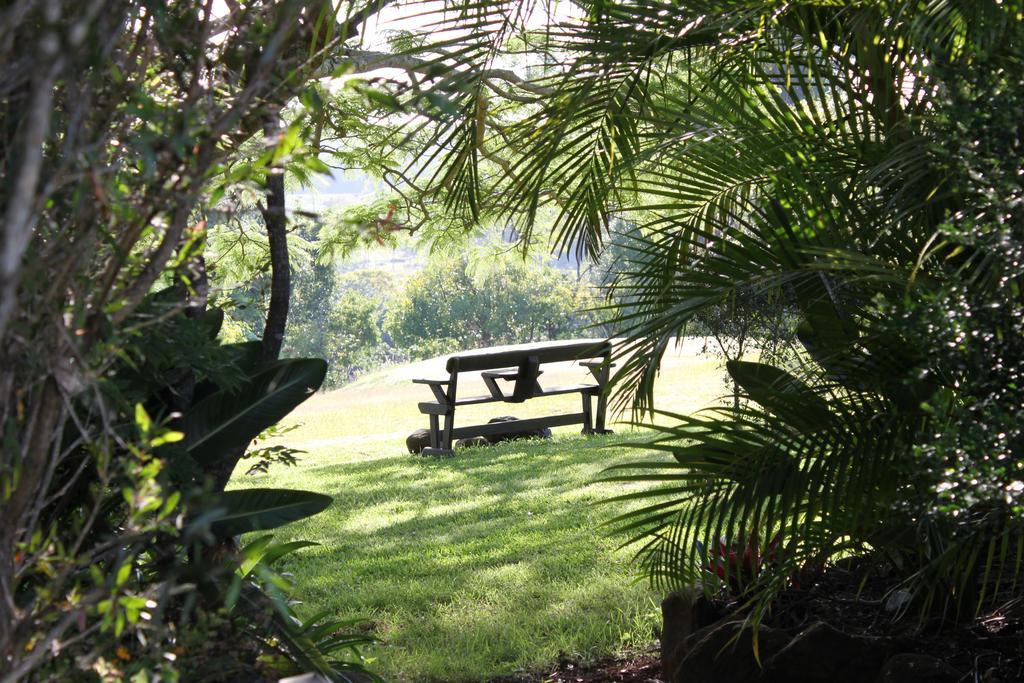 Tropical Coast Retreat - Pet Friendly - Adult Only Pensionat Kingscliff Exteriör bild