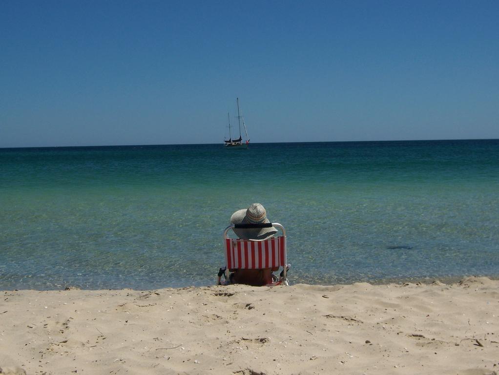 Tropical Coast Retreat - Pet Friendly - Adult Only Pensionat Kingscliff Exteriör bild