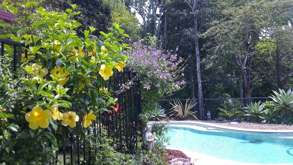 Tropical Coast Retreat - Pet Friendly - Adult Only Pensionat Kingscliff Exteriör bild