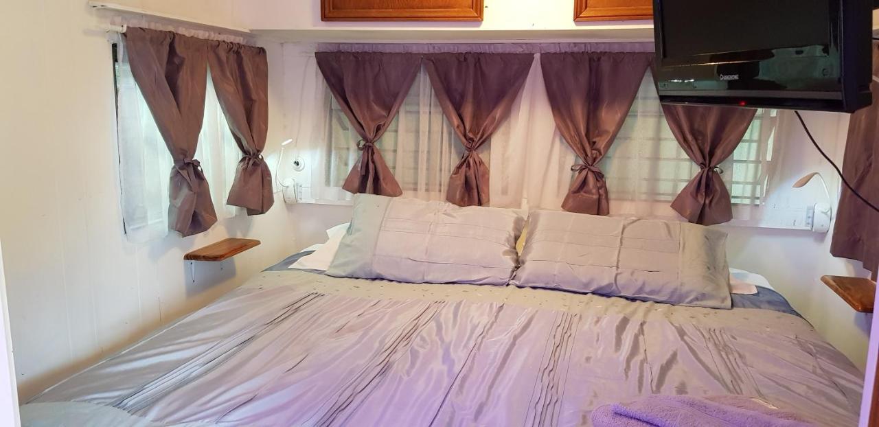 Tropical Coast Retreat - Pet Friendly - Adult Only Pensionat Kingscliff Rum bild