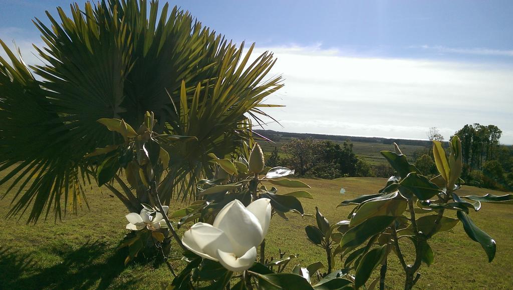 Tropical Coast Retreat - Pet Friendly - Adult Only Pensionat Kingscliff Exteriör bild