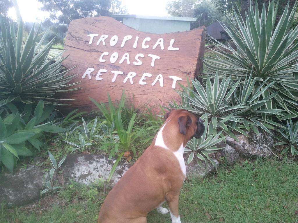 Tropical Coast Retreat - Pet Friendly - Adult Only Pensionat Kingscliff Exteriör bild